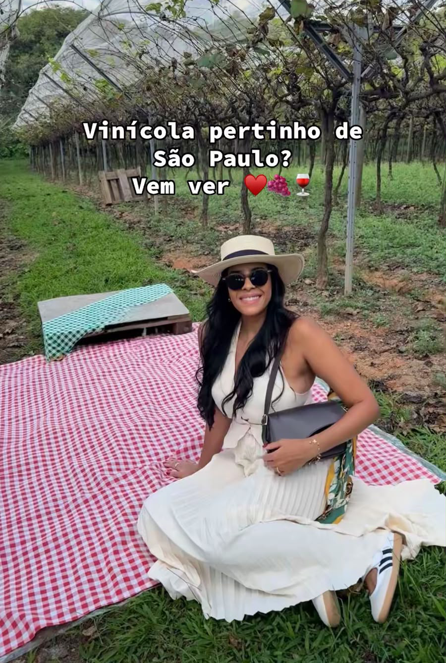Vinícola Highlight